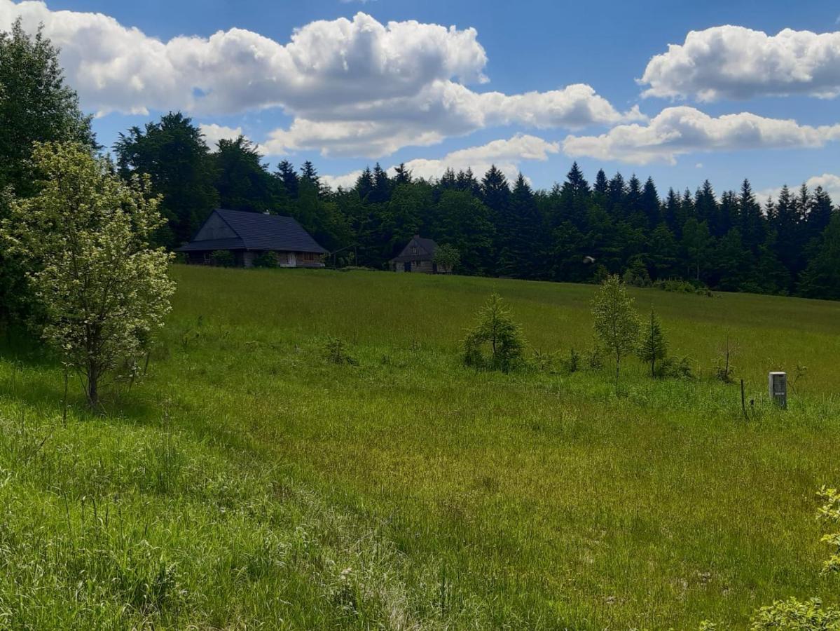 Kuznia Nowica Apartment Uscie Gorlickie ภายนอก รูปภาพ